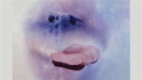 grannies nude|Sex positivity after 70: Marilyn Minter’s sensual photographs of ...